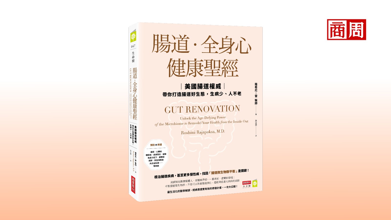 睡不好和「這個器官」有關！改善睡眠3招，顧好身體時差也不怕
