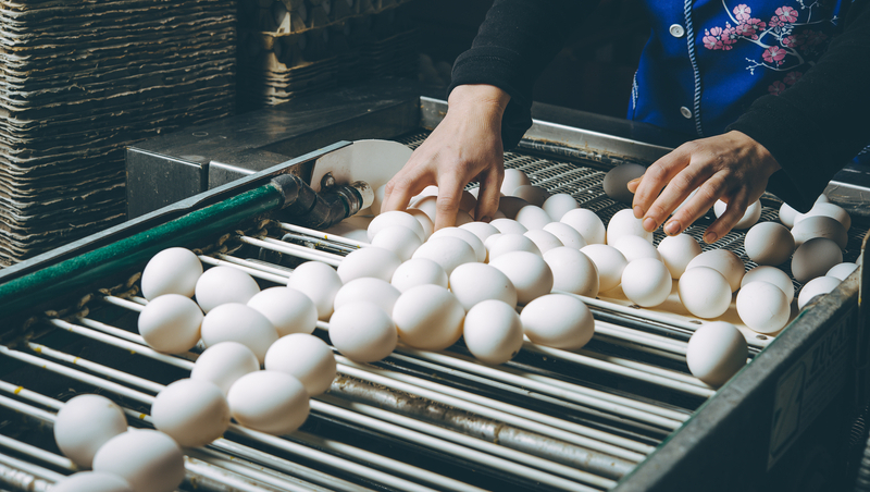 [問卦] 台灣的進口食品真的只有雞蛋有問題？