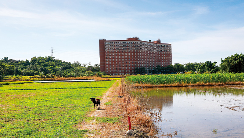 《國土法》空窗期濫搶良田、山坡地，國家帶頭掀土地浩劫