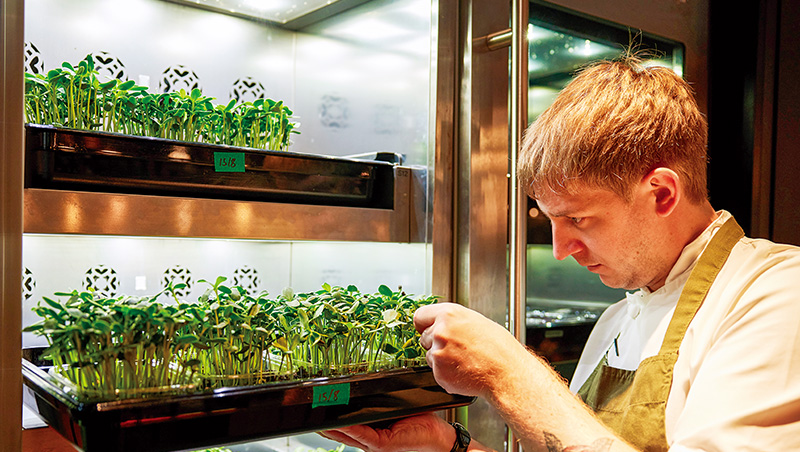 玉米芯製茶、番茄皮做康普茶　米其林綠星餐廳實驗美味最大值