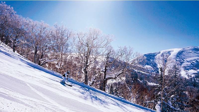 開箱北海道最新滑雪度假村　日雪場馳行、夜泡湯賞落雪