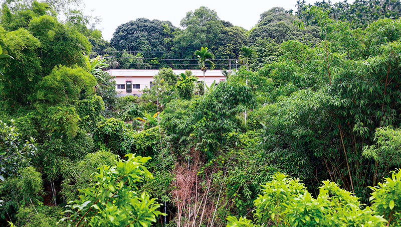 抓螢火蟲點燈、跑一座山借米，嘉義囡仔打造AI伺服器王