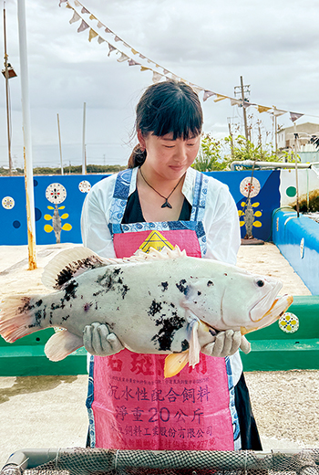 高雄青年限定！旗山喝阿嬤咖啡、漁村嘗魚皮冰淇淋