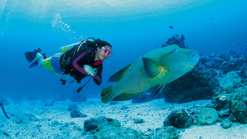 水下20米是最佳靈感培養皿　林詠翔瘋潛水玩出營收80億大江生醫