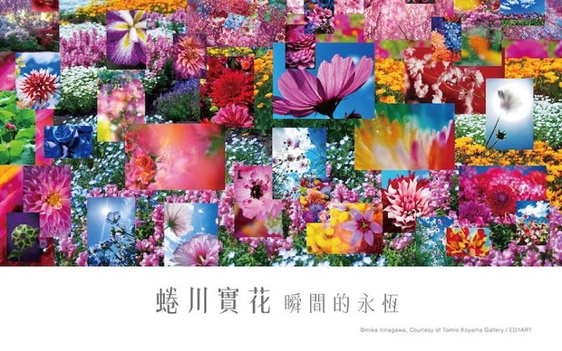 蜷川實花瞬間的永恆