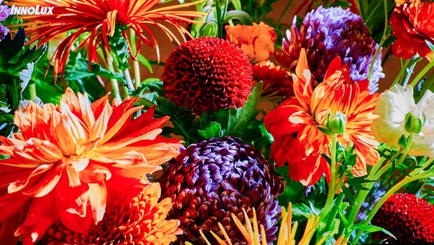 2024 SDIA Award-前瞻顯示大賞：智慧顯示，創新無限