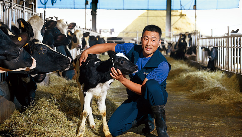 迎戰進口奶，先讓牛過得好！50年老牧場變單一牧場品牌
