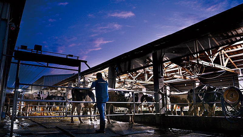 零關稅牛奶攻台