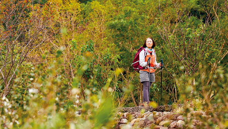 從四國遍路、聖母峰基地營到朝聖之路　60+背包客的獨旅自白