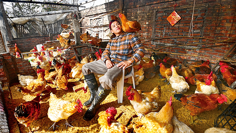 看他養雞、種西瓜像玩開心農場，台北囡仔變百萬農村網紅