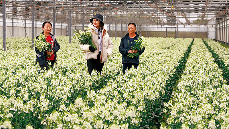 18年農會總幹事當網紅！她爬農耕機、炒絲瓜，發10.4個月年終