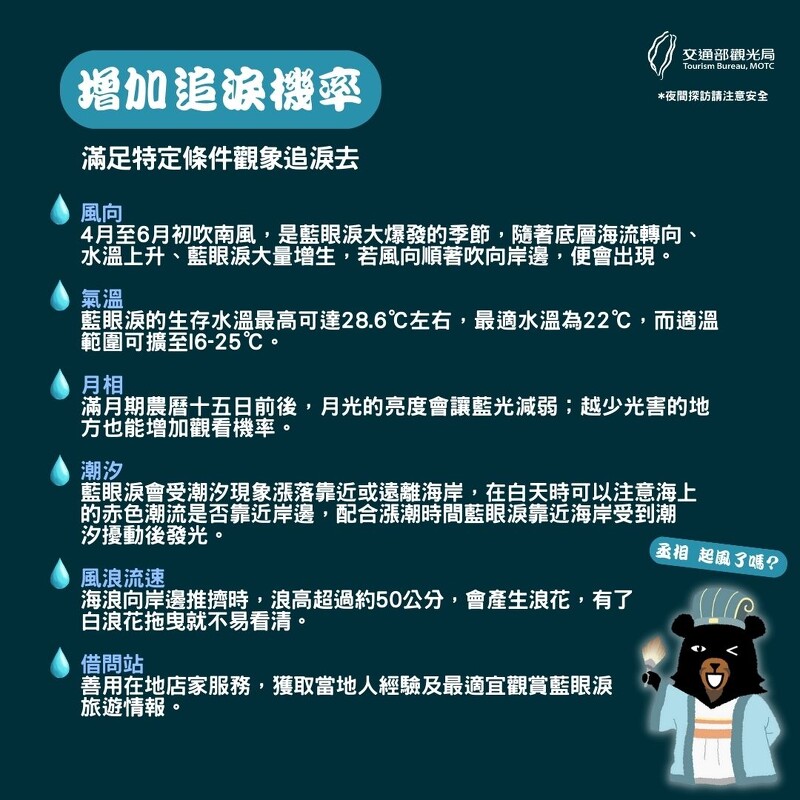 媽祖藍眼淚觀賞秘訣