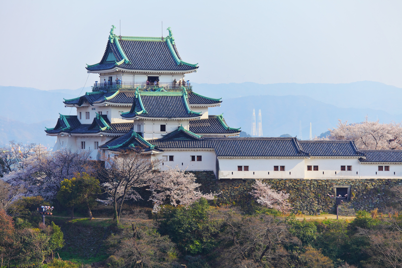 2025大阪萬博周邊景點:和歌山