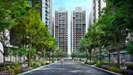 市政路延伸通車「雙漲潮」助攻   5字頭買市政大道20萬坪綠覆、東京表參道林蔭