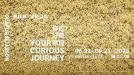 北美館年度大展6/21登場！《奧拉弗．埃利亞松：你的好奇旅程》開展亮點一次看