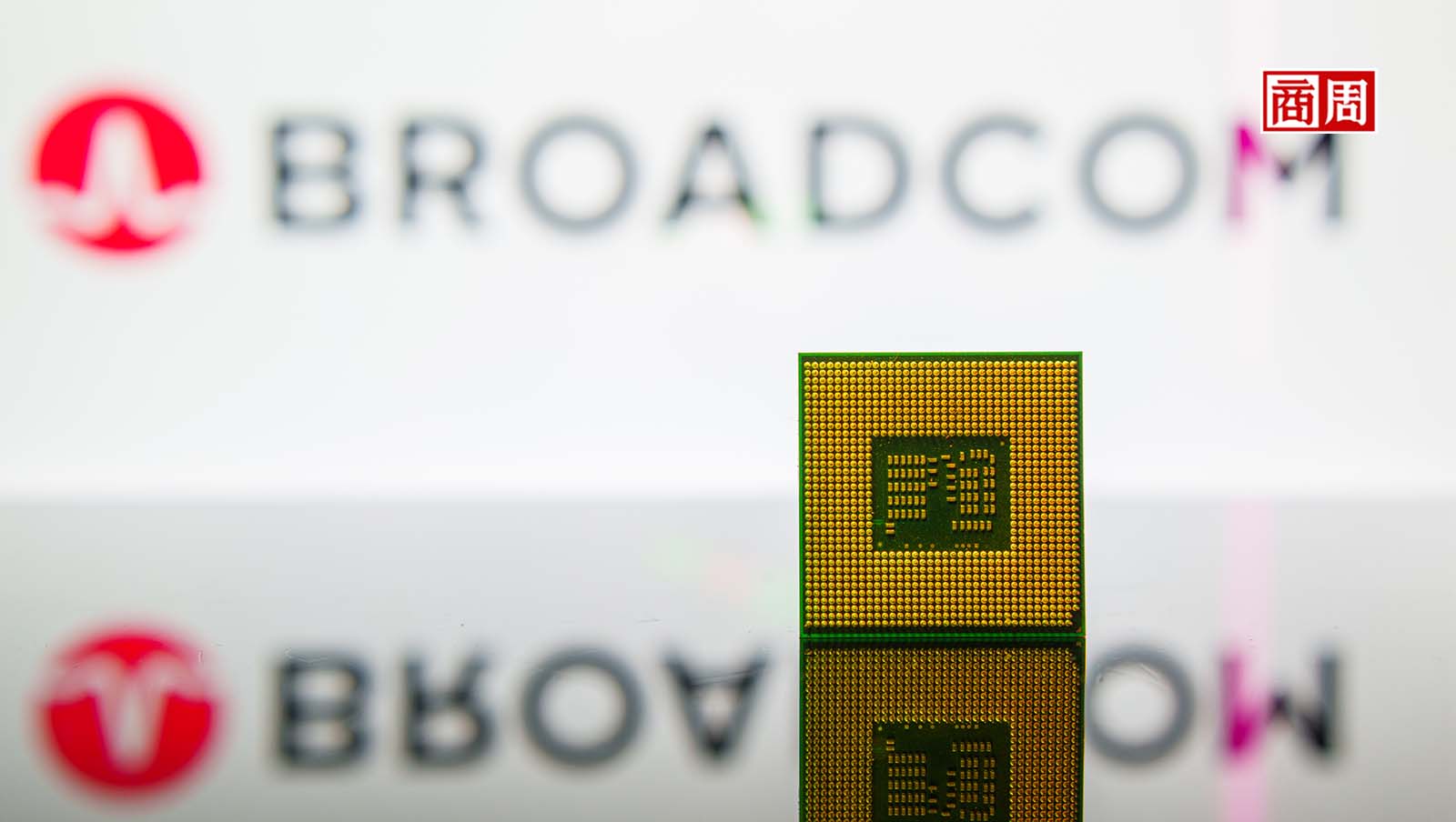 博通幫Google做晶片，2個月漲70%！華爾街看到什麼隱憂？還能投資AI晶片股？－商周頭條｜商周