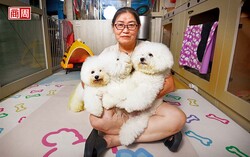 愛狗，讓她被騙3,200萬…退休反洗錢師也被詐：你只是還沒遇上你的劇本