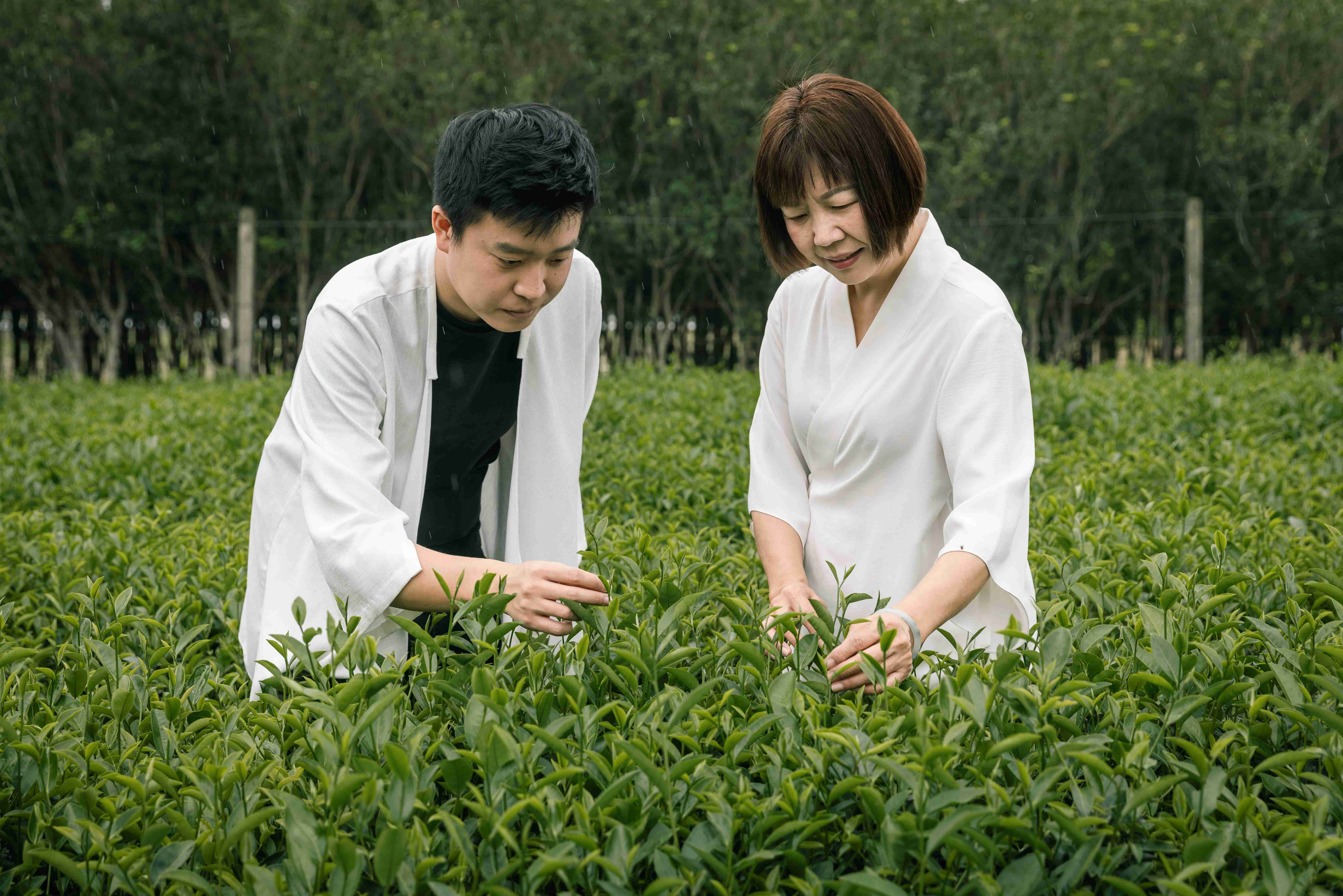 博雅齋二代接班人簡睿宏(左)獲選百大青農,他的加入為品牌注入全新的國際視野與創新思維。