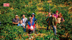 全球均價最高咖啡豆來自阿里山！台灣咖啡為何能賣3倍價？一堂隱形冠軍突圍課