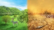 童慶斌導讀》氣候調適不是負擔，是4兆美元商機的起點