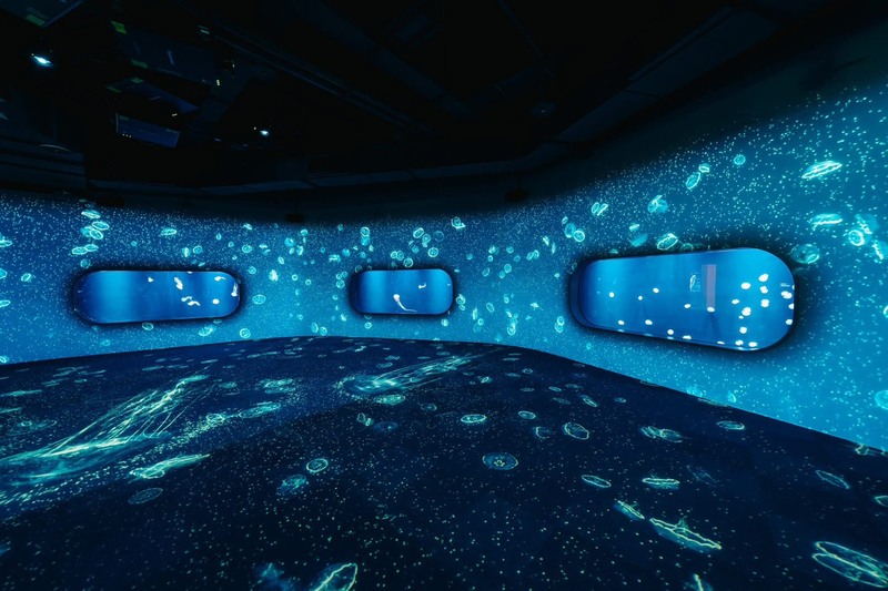 台中海洋館「水母」展區