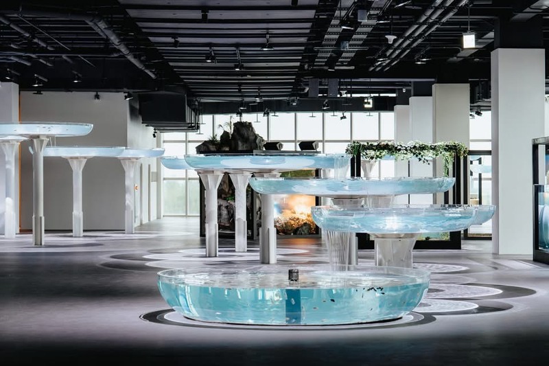 台中海洋館「台中河川」展區
