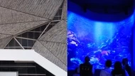 台中海洋館8/21開幕！展區亮點、門票、開幕優惠、交通全攻略