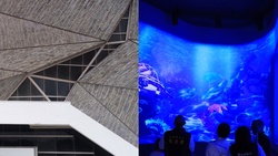 台中海洋館8/21開幕！門票、展區亮點、開幕優惠、交通全攻略