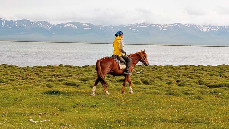 當ChatGPT成了馬術教練