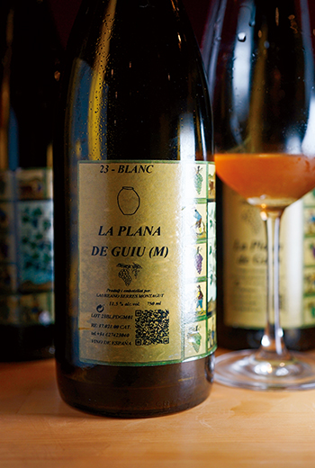 自然派的世代轉變