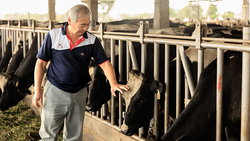 43年不妥協的在地職人精神，萬丹鮮乳再獲世界品質金獎肯定