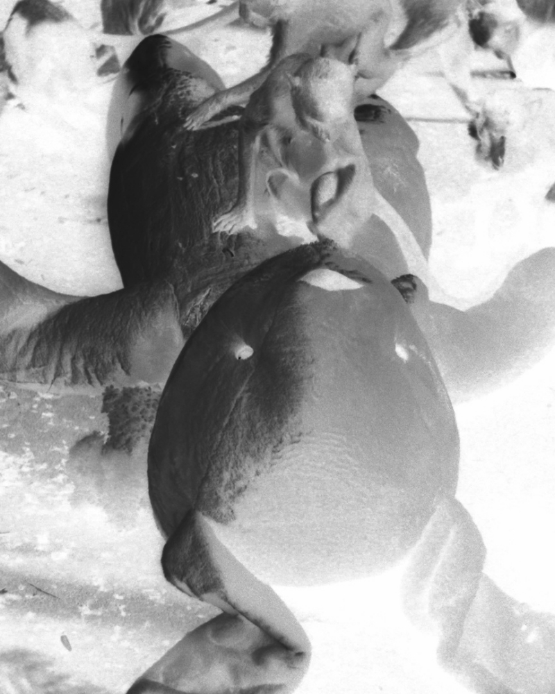 《愛在死亡之後》