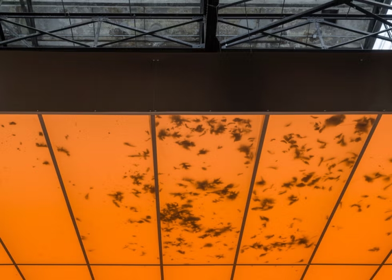 《活畫》（裝置一隅）