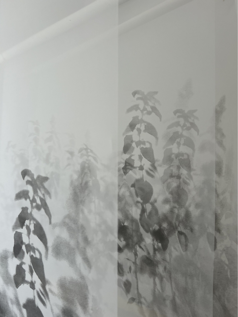 《留下的⋯⋯盡可能長存》