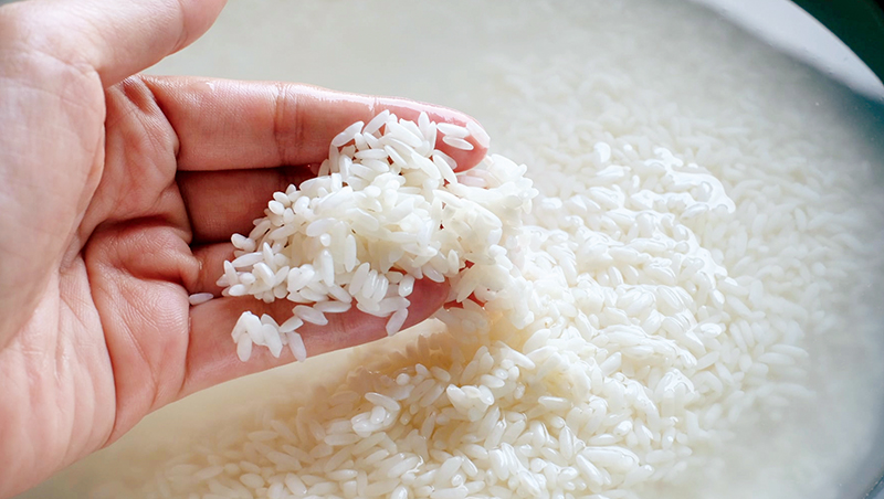 米店的主張（下）