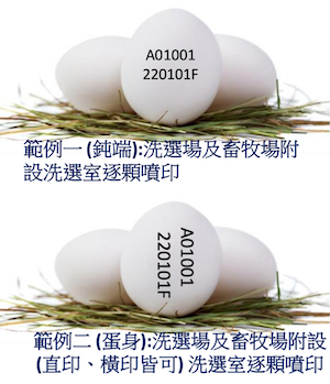 洗選鮮雞蛋噴印溯源範例