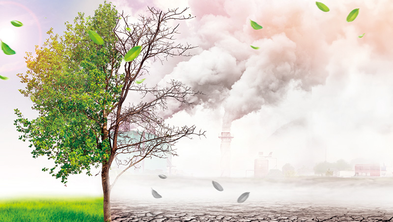 碳競爭力100強　4%贏家