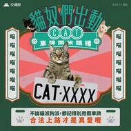 貓奴夢幻車牌「CAT-8888」57.6萬決標！最夯車號排行曝光