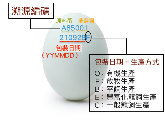 洗選蛋編碼意義