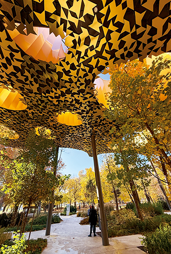 森林中的音樂之家