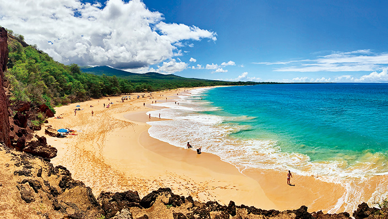 旅遊訂單五天衝破30億，好市多怎靠賣行程養鐵粉