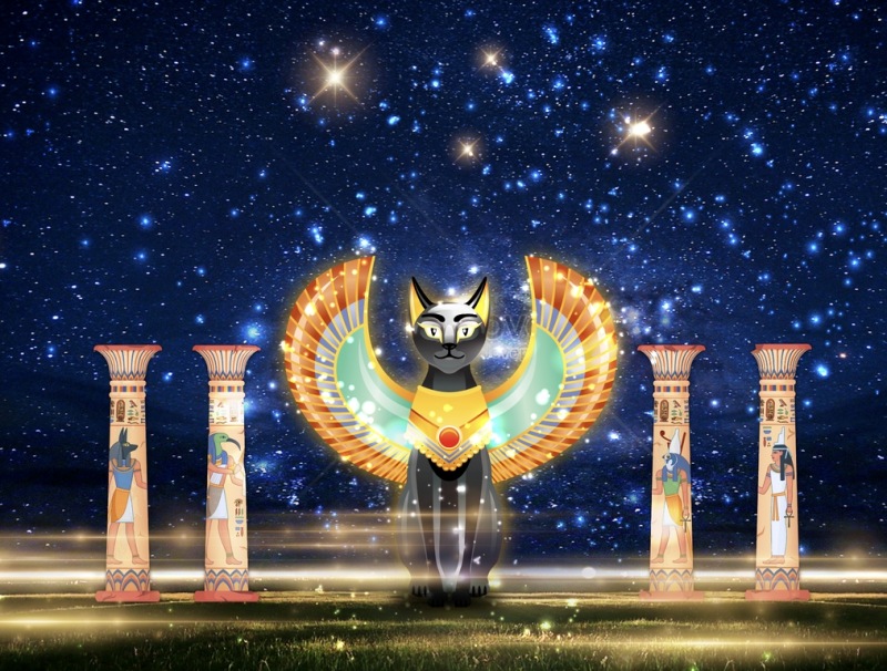 2026中台灣燈會生態區：動物夢世界