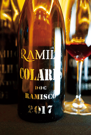 海岸沙地下的秘密