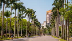 歷史系變AI時代黑馬？大學問點名「5大潛力科系」