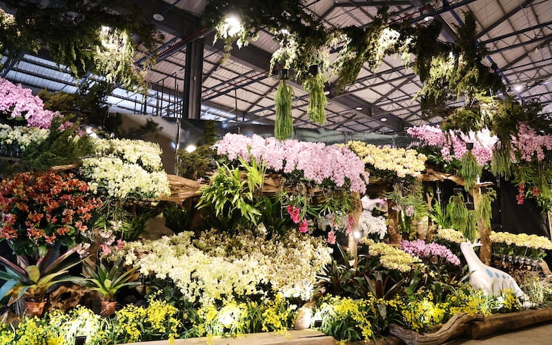 2026台南蘭花展綻放館