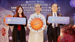 EXO 001 活體內CAR-T　首創靶向外泌體平台在體內產生多靶向CAR-T細胞治療技術