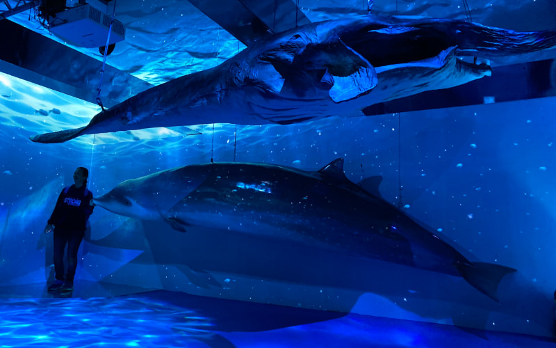 2026宜蘭綠博海洋館