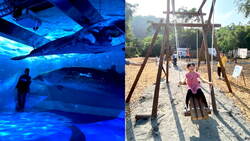 2026宜蘭綠色博覽會3/28登場！門票優惠、交通接駁、遊戲設施懶人包