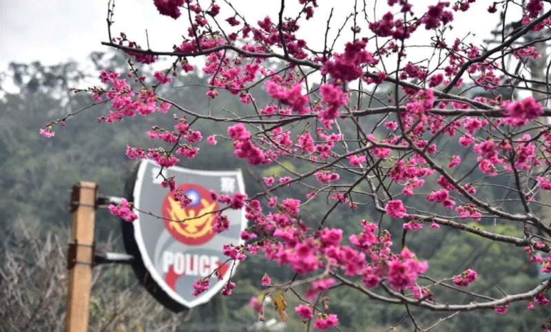 后里泰安派出所