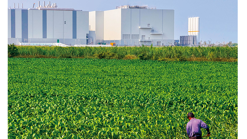 鳳梨田裡的AI玻纖布傳奇